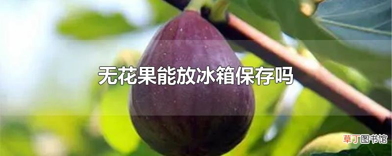 无花果能放冰箱保存吗