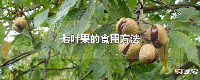 七叶果的食用方法