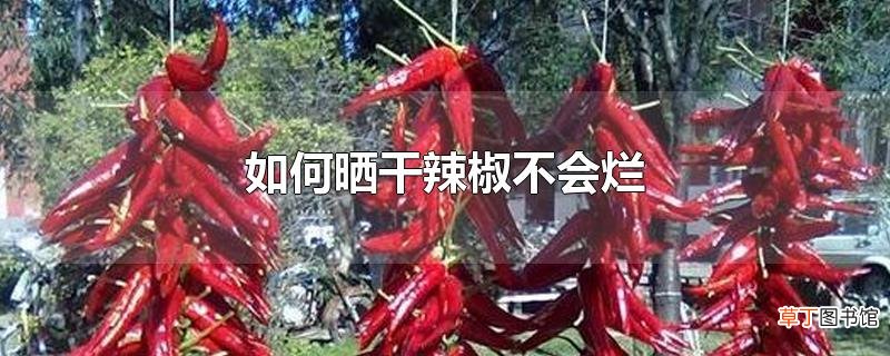 怎么晒干辣椒不会烂