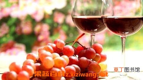 自治葡萄酒有哪些危害