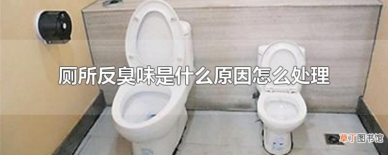 厕所反臭味是什么原因怎么处理