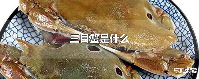 三目蟹是什么