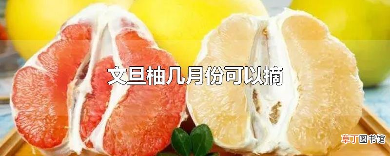 文旦柚几月份可以摘