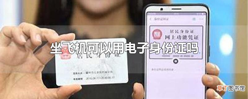 坐飞机可以用电子身份证吗