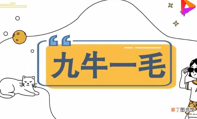 九牛一毛怎么造句