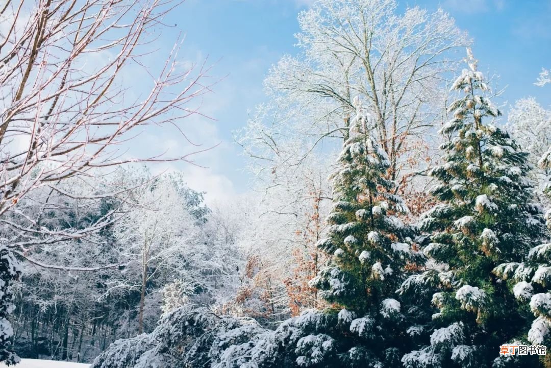 关于雪的20句诗词 关于雪的诗词