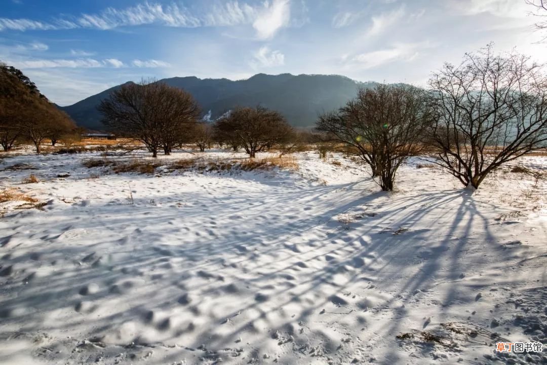 关于雪的20句诗词 关于雪的诗词