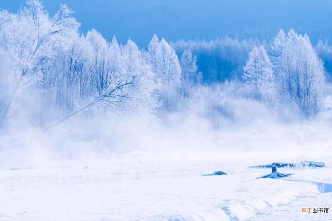 关于雪的20句诗词 关于雪的诗词