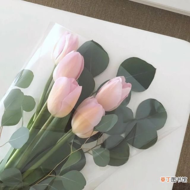 开学季最美的句子 开学激励语