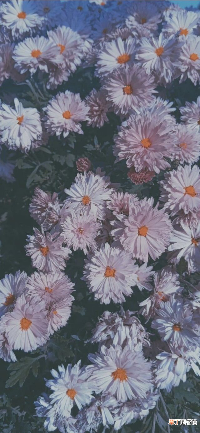 开学季最美的句子 开学激励语