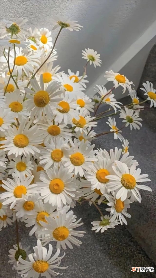 开学季最美的句子 开学激励语