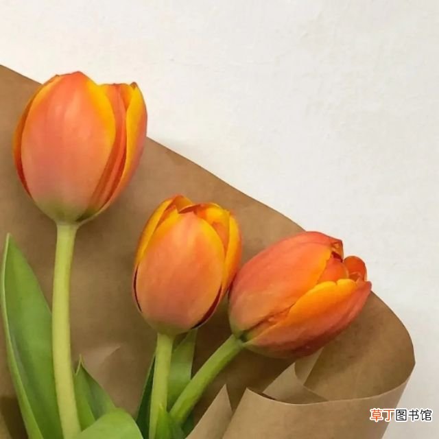 开学季最美的句子 开学激励语
