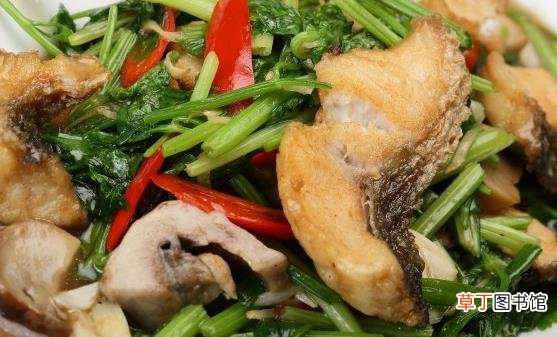 正确使用食用油 炒菜少油的小诀窍