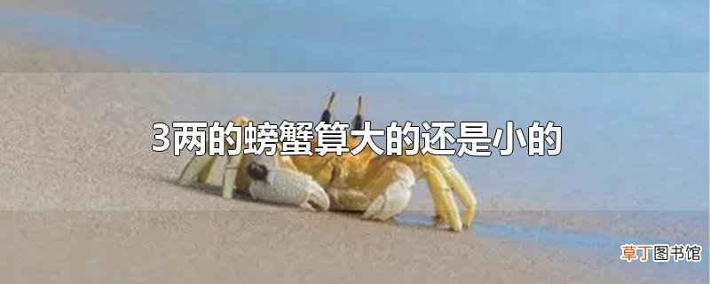 3两的螃蟹算大的还是小的