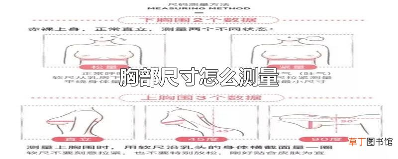 胸部尺寸怎么测量