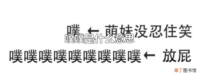 噗噗是什么意思