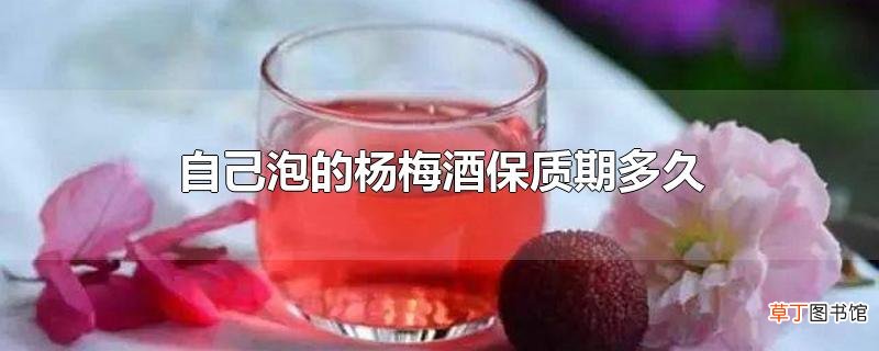 自己泡的杨梅酒保质期多久