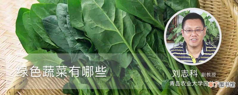 绿色蔬菜有哪些