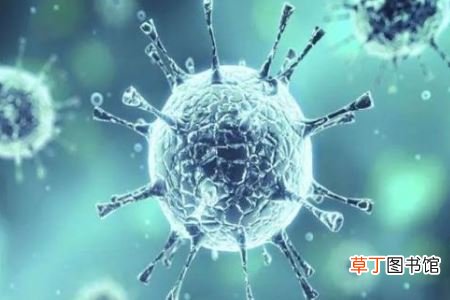 新冠状病毒几天有症状-新冠状病毒什么时候有症状