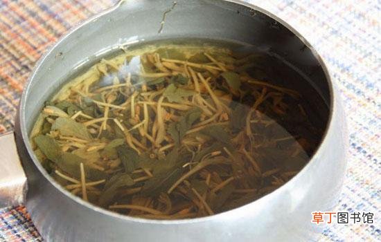 金银花煮水治湿疹的效果-金银花煮水治湿疹有效果吗