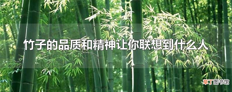 竹子的品质和精神让你联想到什么人
