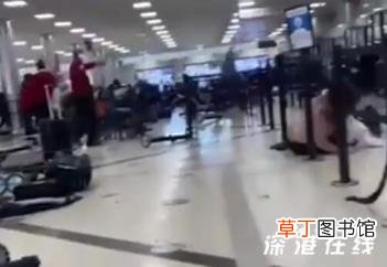 美机场枪支走火:乘客匍匐在地 那是什么场面？【图】