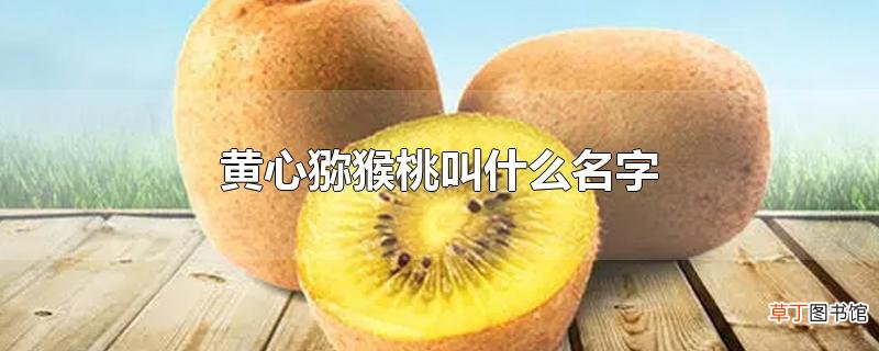 黄心猕猴桃叫什么名字