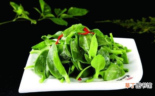 让食材换个方式来保鲜 常见蔬菜保鲜小技巧