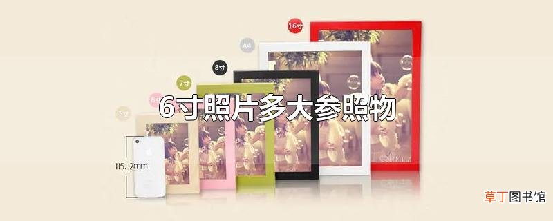 6寸照片多大参照物