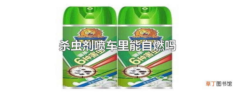 杀虫剂喷车里能自燃吗