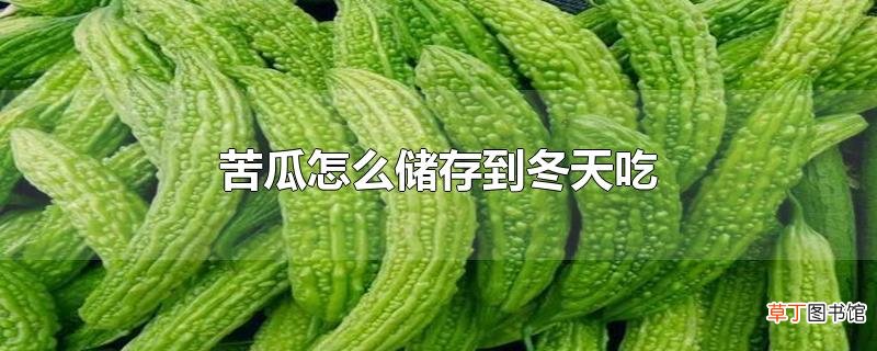 苦瓜怎么储存到冬天吃