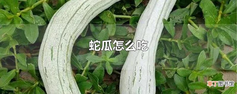 蛇瓜怎么吃
