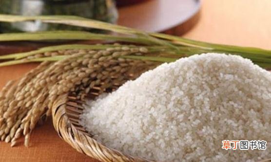 大米生了虫 预防大米生虫的措施