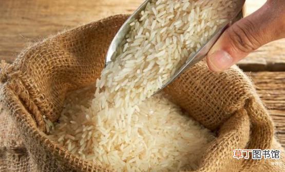 大米生了虫 预防大米生虫的措施