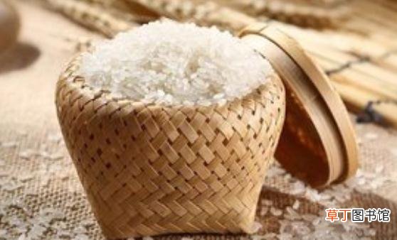 大米生了虫 预防大米生虫的措施