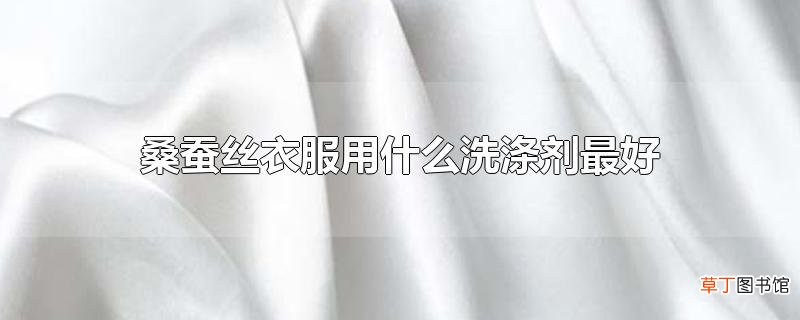 桑蚕丝衣服用什么洗涤剂最好