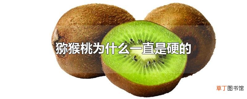 猕猴桃为什么一直是硬的