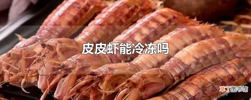 皮皮虾能冷冻吗