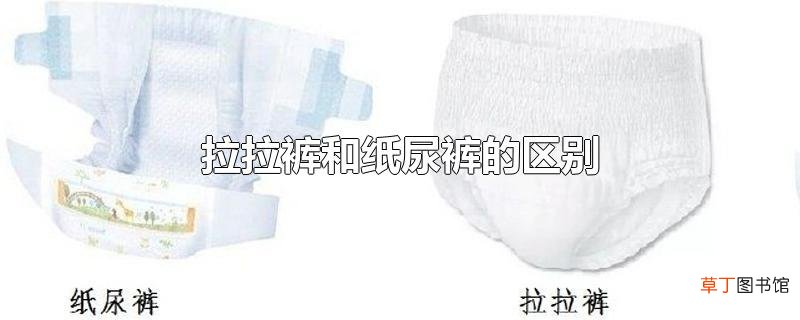 拉拉裤和纸尿裤的区别