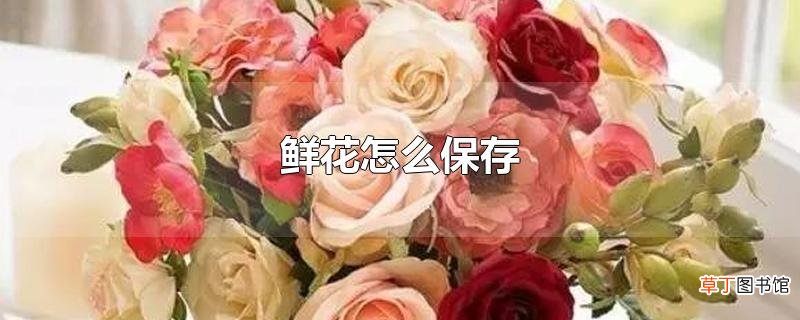 鲜花怎么保存