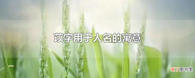 苡字用于人名的寓意