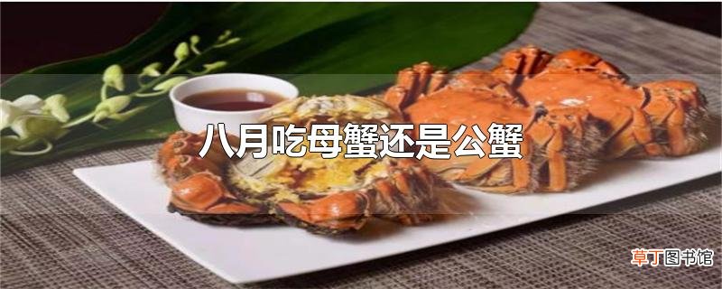 八月吃母蟹还是公蟹