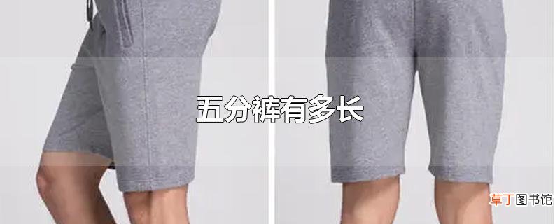 五分裤有多长