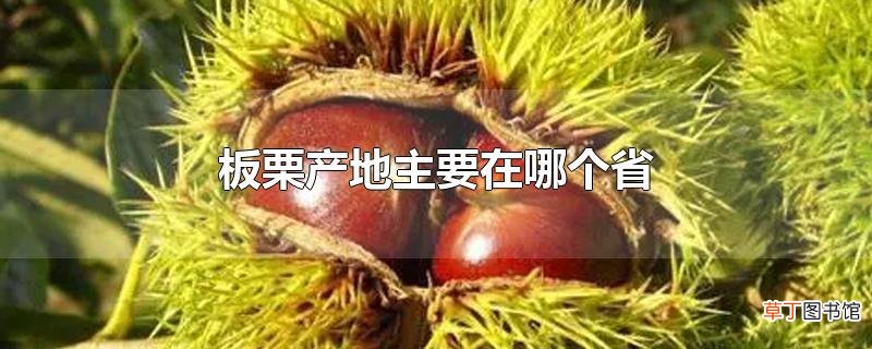 板栗产地主要在哪个省