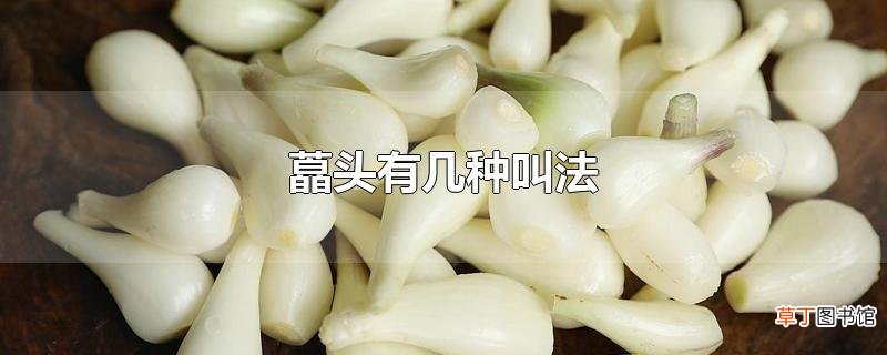 藠头有几种叫法