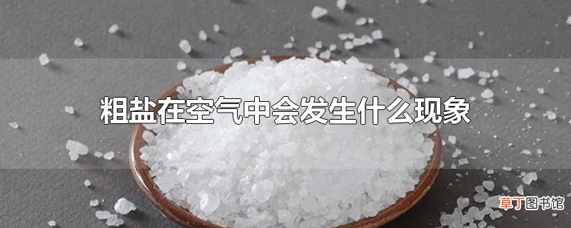 粗盐在空气中会发生什么现象