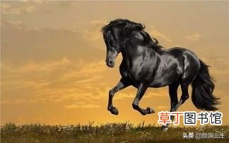 16首 描写马诗词 关于马的诗歌
