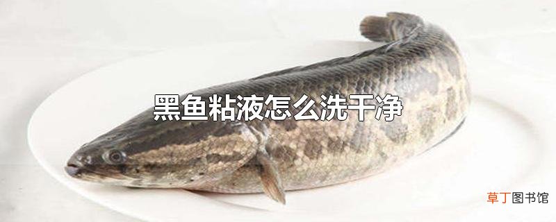 黑鱼粘液怎么洗干净