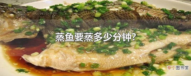 蒸鱼要蒸多少分钟?