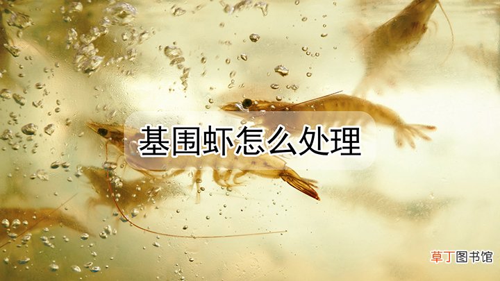 怎么处理基围虾最干净